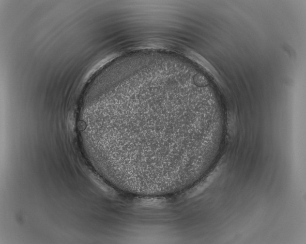 X0000113310826200910131106