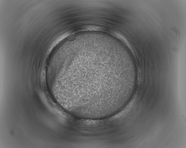 X0000113310827200910131106