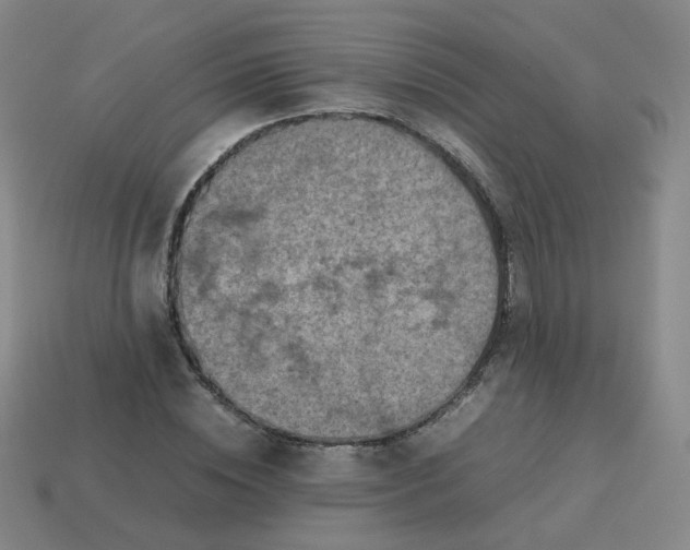 X0000113310828200910131106