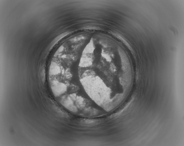 X0000113310829200910131106