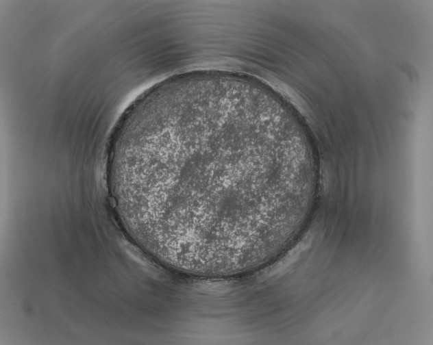 X0000113310830200910131106