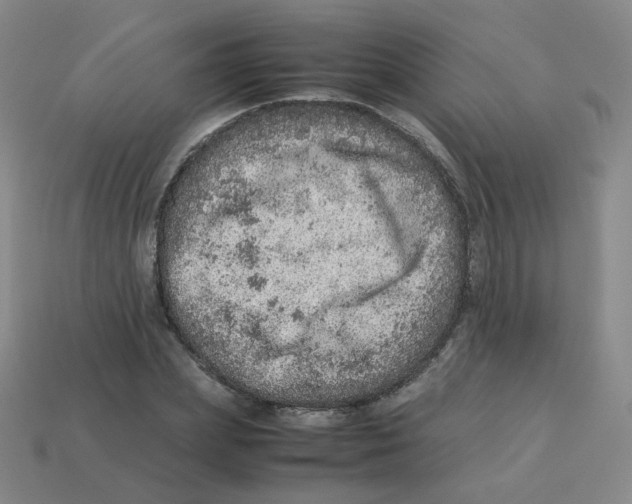 X0000113310831200910131106