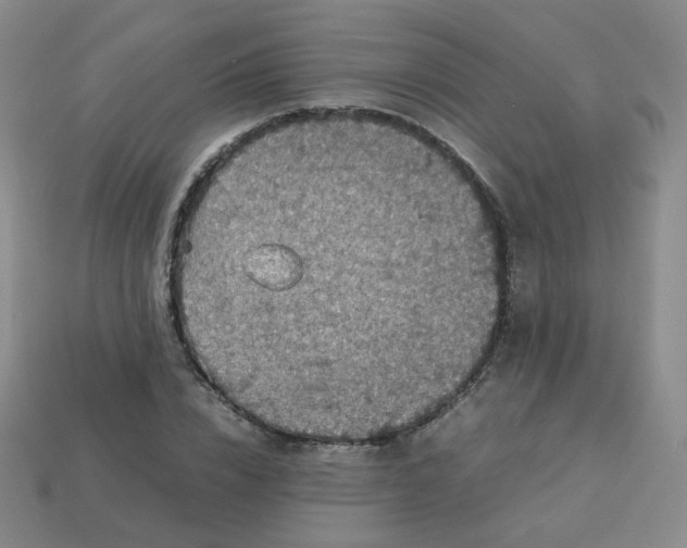 X0000113310832200910131106