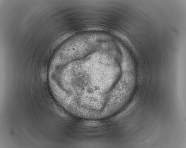 X0000113310833200910131106