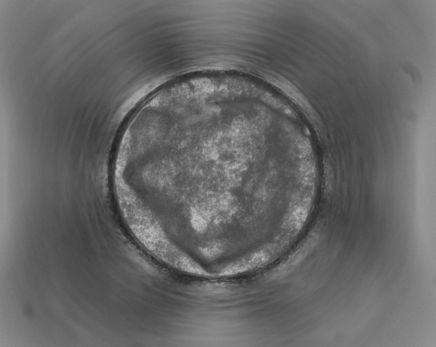 X0000113310834200910131106