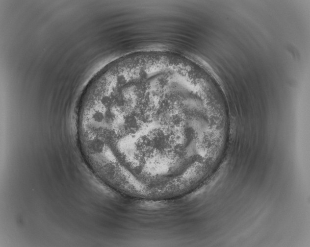 X0000113310835200910131106