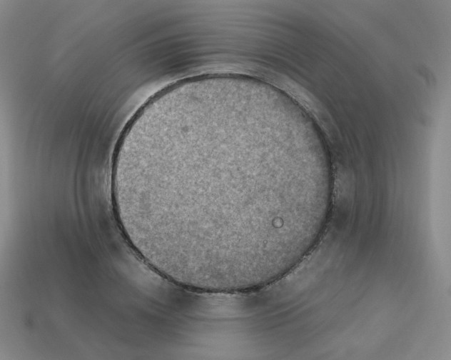 X0000113310836200910131106