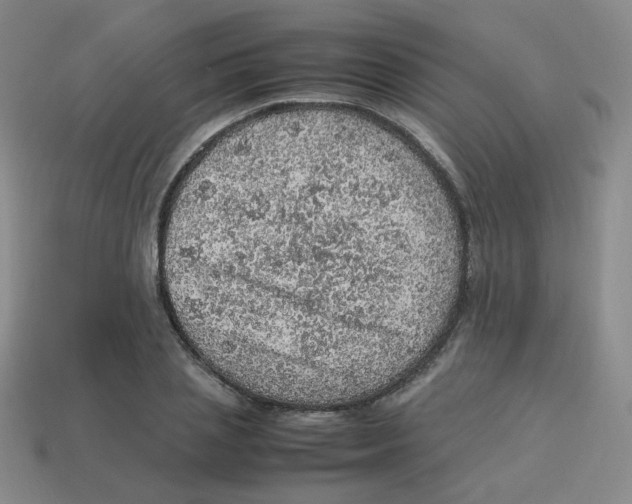 X0000113310837200910131106