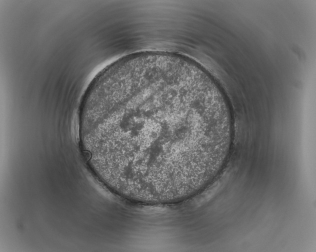 X0000113310838200910131106