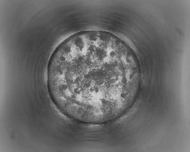 X0000113310839200910131106