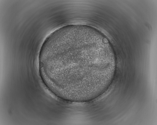 X0000113310840200910131106