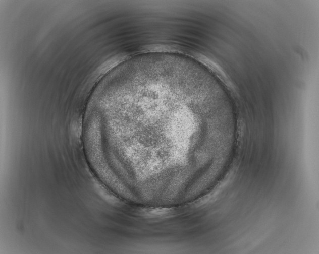 X0000113310841200910131106