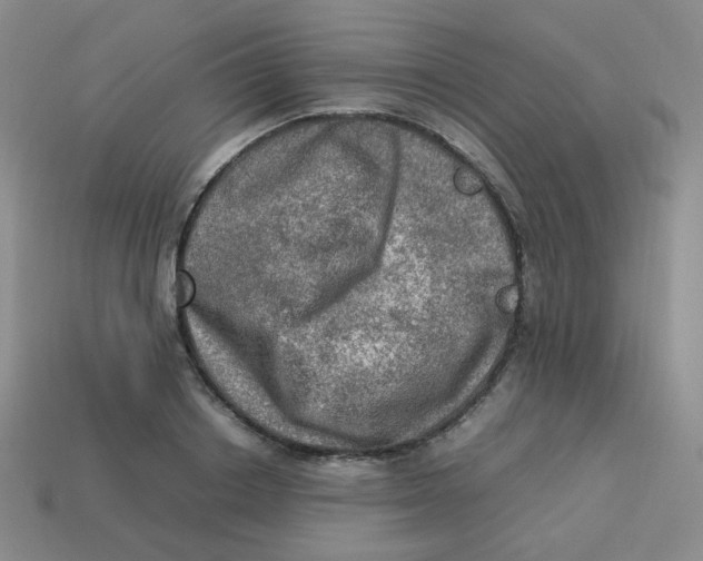 X0000113310842200910131106