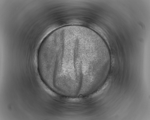 X0000113310843200910131106