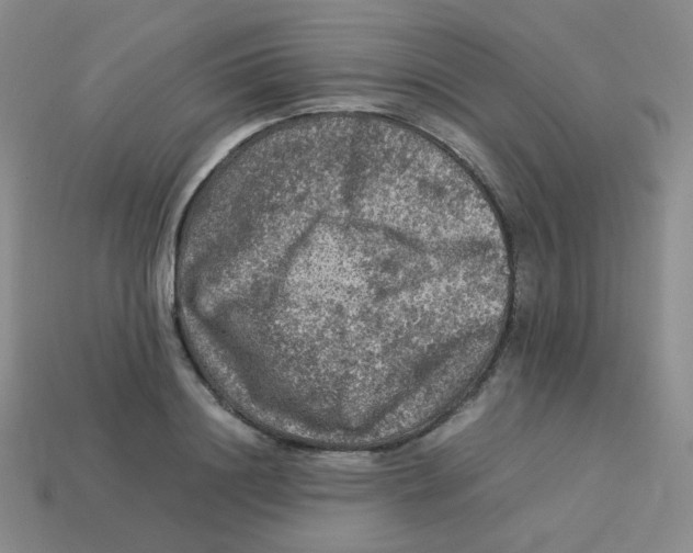 X0000113310844200910131106