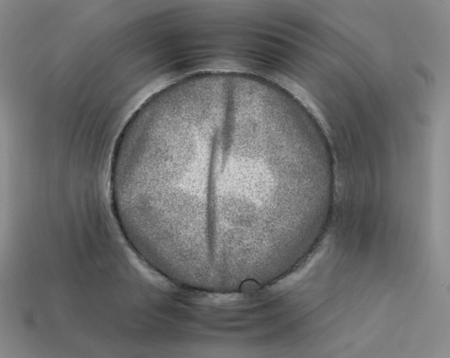 X0000113310845200910131106