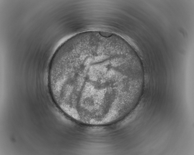 X0000113310846200910131106