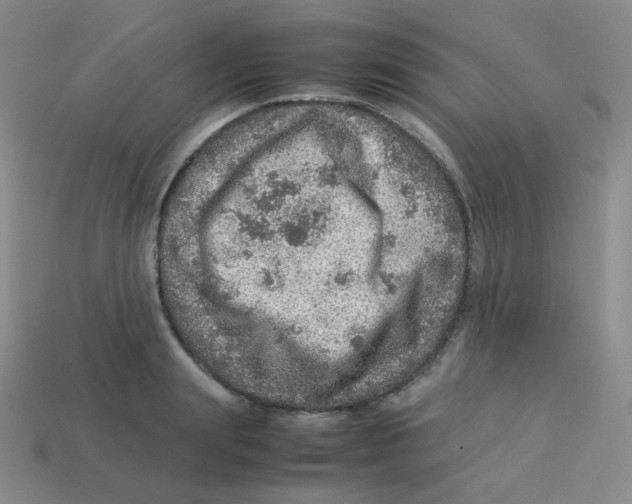 X0000113310847200910131106