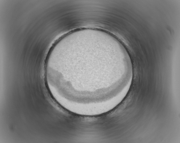 X0000113310848200910131106