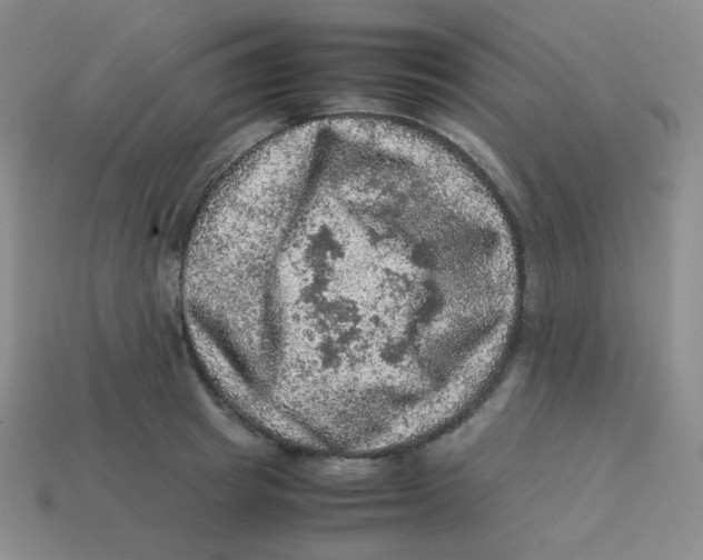 X0000113310849200910131106