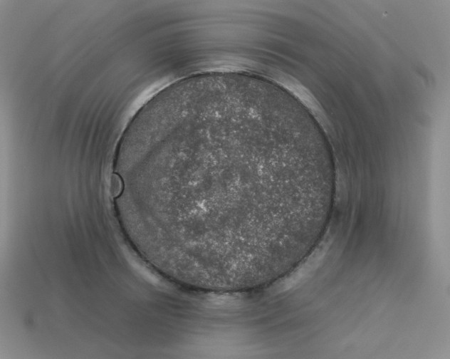 X0000113310850200910131106