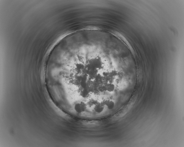 X0000113310851200910131106