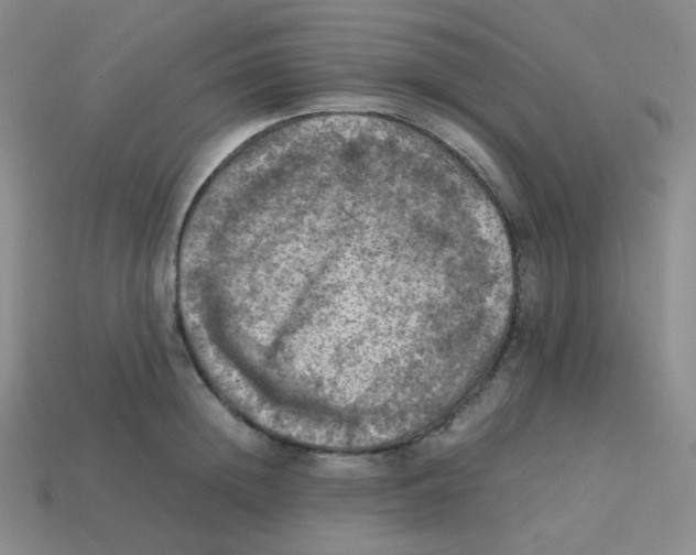 X0000113310852200910131106