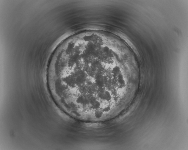 X0000113310853200910131106