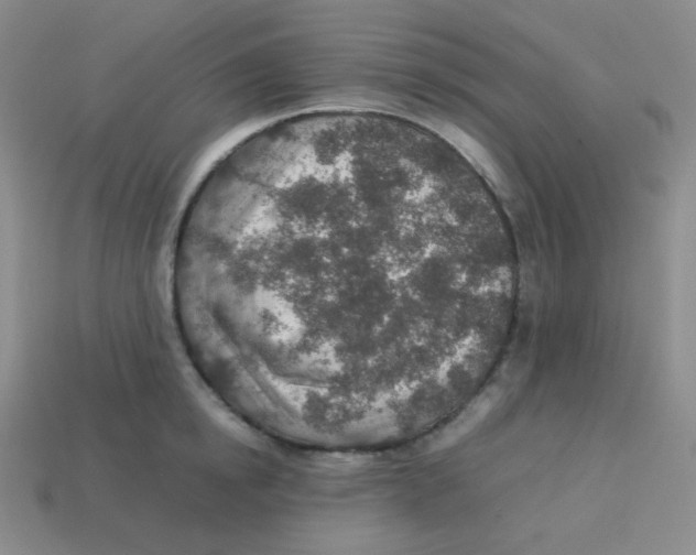 X0000113310854200910131106