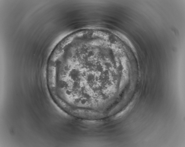 X0000113310855200910131106