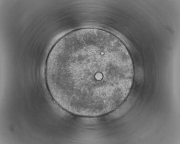 X0000113310856200910131106