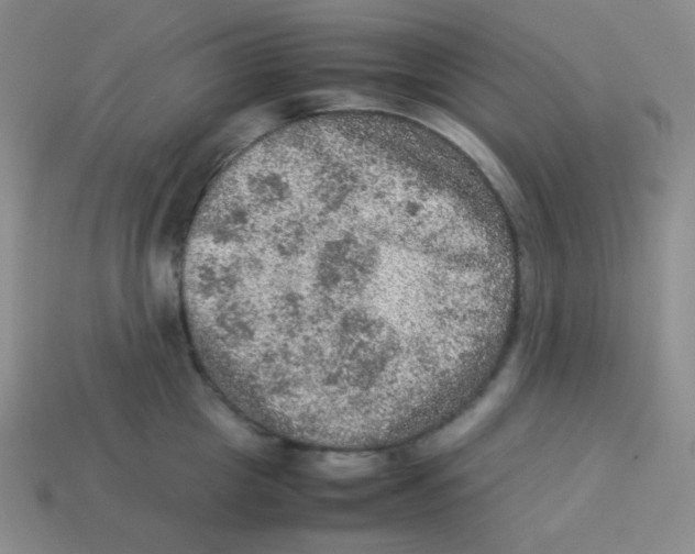 X0000113310857200910131106