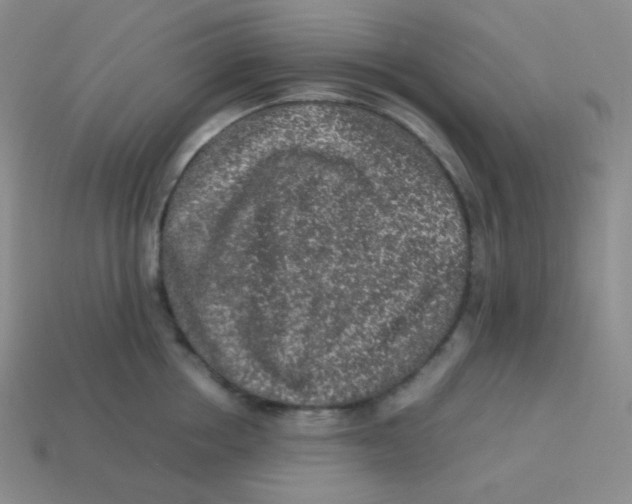 X0000113310858200910131106