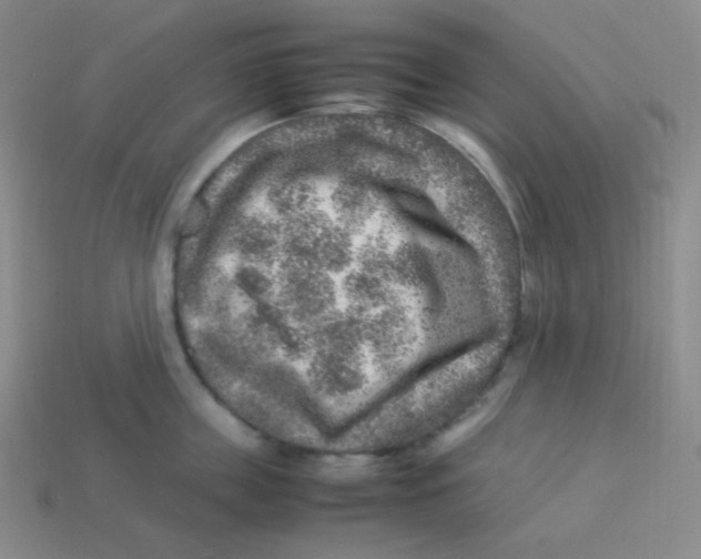 X0000113310859200910131106