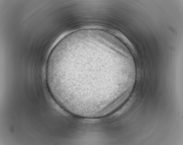 X0000113310860200910131106