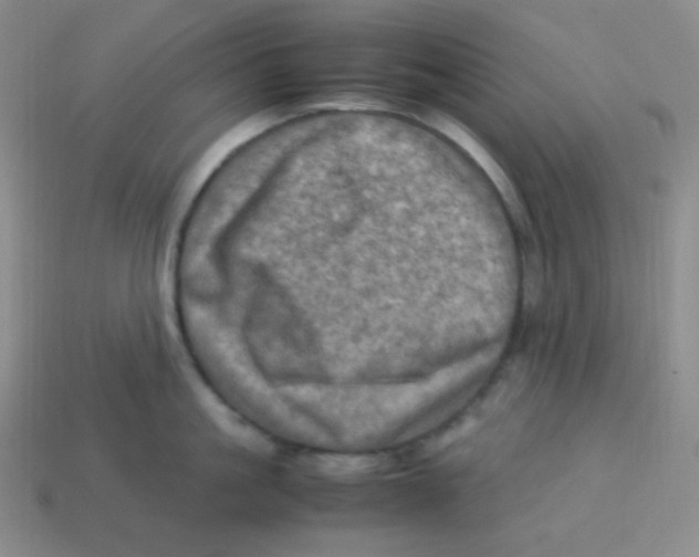 X0000113310861200910131106