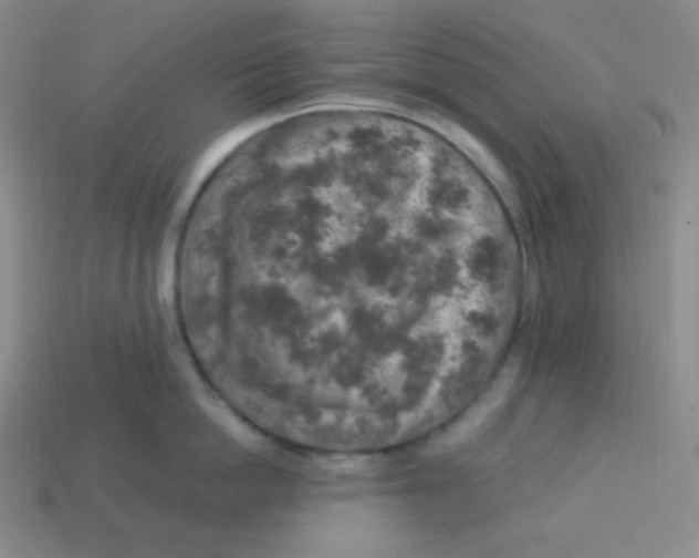 X0000113310862200910131106