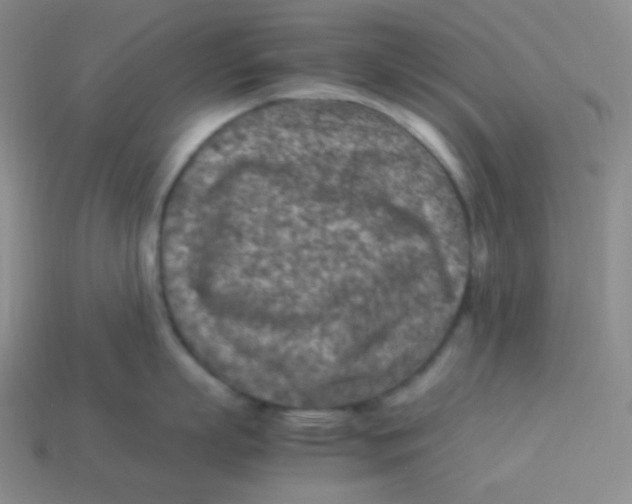 X0000113310863200910131106