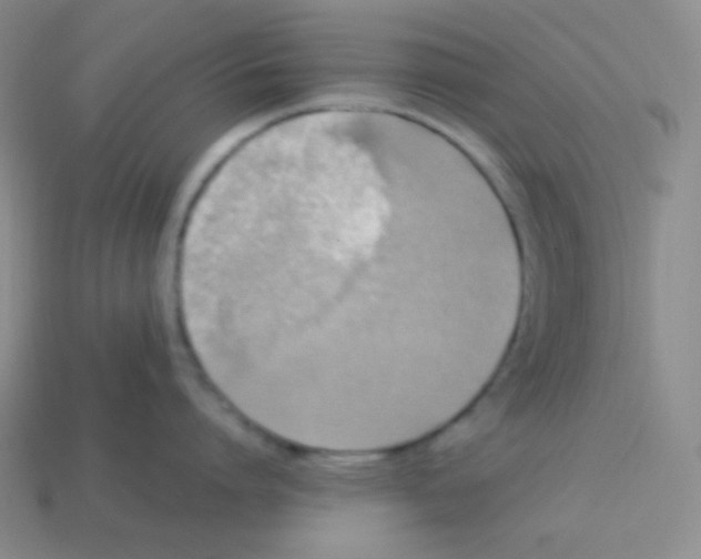 X0000113310864200910131106