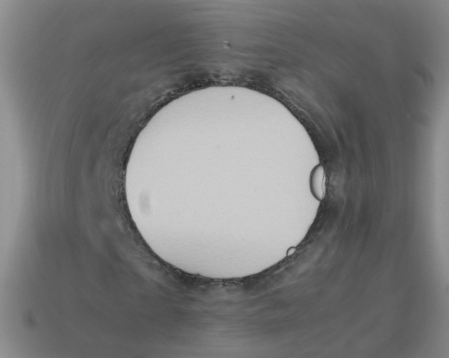 X0000113310865200910131105