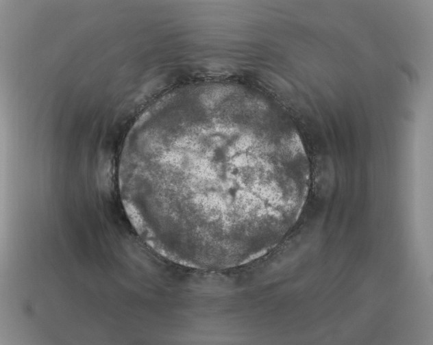 X0000113310866200910131105