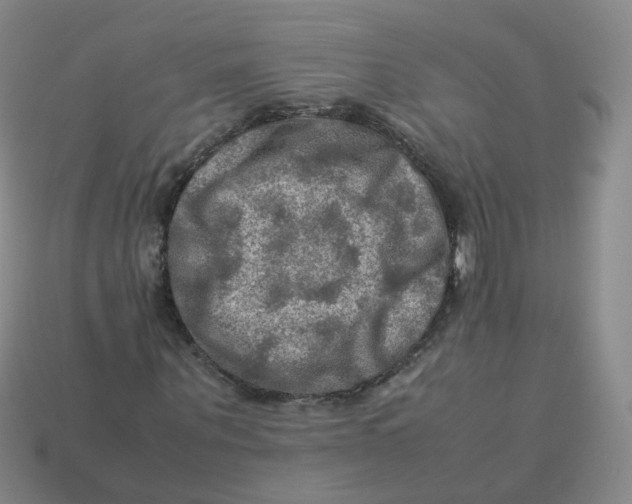 X0000113310867200910131105