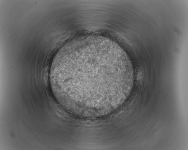 X0000113310868200910131105