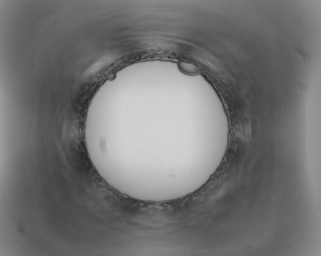 X0000113310869200910131105