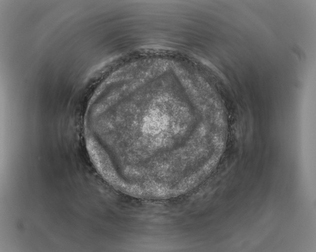 X0000113310870200910131105