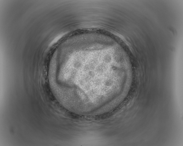 X0000113310871200910131105