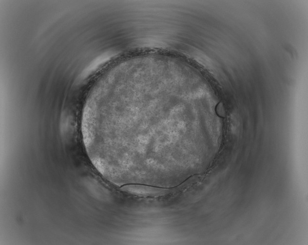 X0000113310872200910131105