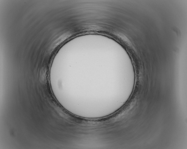 X0000113310873200910131105