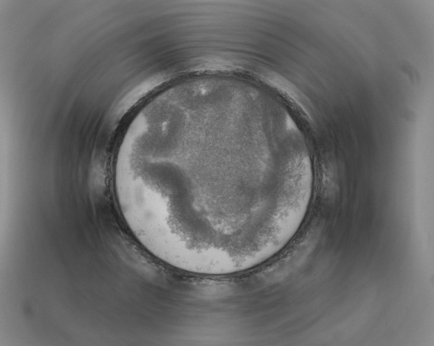 X0000113310874200910131105