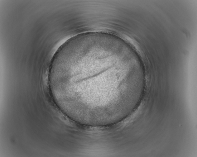 X0000113310875200910131105